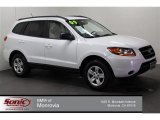 2009 Hyundai Santa Fe GLS