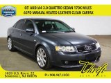 Dolphin Grey Metallic Audi A4 in 2005