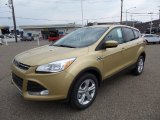 2015 Ford Escape SE 4WD Front 3/4 View