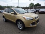 2015 Ford Escape Karat Gold Metallic