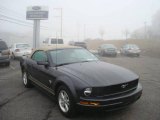 2009 Alloy Metallic Ford Mustang V6 Convertible #10469052