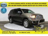 Sandy Beach Metallic Toyota Sequoia in 2010