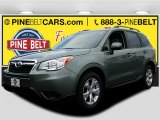 2015 Jasmine Green Metallic Subaru Forester 2.5i Premium #104798631