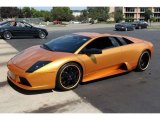 2006 Oro Adonis (Gold) Lamborghini Murcielago Coupe #104865504