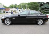 Jet Black BMW 5 Series in 2013