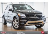 2015 Mercedes-Benz ML 350