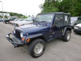 2002 Patriot Blue Pearl Jeep Wrangler X 4x4 #105051584