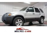 2006 Ford Escape XLT V6 4WD
