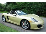 Lime Gold Metallic Porsche Boxster in 2013