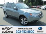 2009 Sage Green Metallic Subaru Forester 2.5 X Limited #105282846