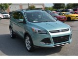 2013 Frosted Glass Metallic Ford Escape Titanium 2.0L EcoBoost #105423779