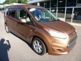 2014 Ford Transit Connect Burnished Glow