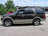 Stone Green Metallic Ford Expedition in 2008