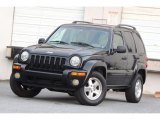 Black Clearcoat Jeep Liberty in 2003
