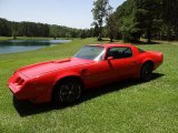 1980 Pontiac Firebird Trans Am Exterior