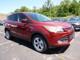 2016 Ford Escape SE 4WD