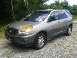 Light Driftwood Buick Rendezvous in 2002