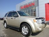 2010 Gold Leaf Metallic Ford Escape XLT 4WD #106213335