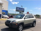 2009 Hyundai Tucson SE V6 4WD