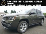 2016 ECO Green Pearl Jeep Compass Sport 4x4 #106265272