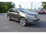 Magnetic Metallic Ford Edge in 2015