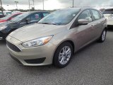 2015 Tectonic Metallic Ford Focus SE Hatchback #106304463