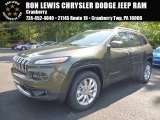 2016 ECO Green Pearl Jeep Cherokee Limited 4x4 #106363035