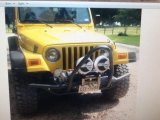 2002 Solar Yellow Jeep Wrangler X 4x4 #106426137