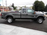 Magnetic Metallic Ford F250 Super Duty in 2016