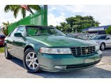 2003 Forest Green Cadillac Seville SLS #106507543