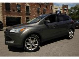 2013 Sterling Gray Metallic Ford Escape SEL 1.6L EcoBoost 4WD #106585395