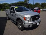 2014 Ingot Silver Ford F150 STX Regular Cab 4x4 #106585413