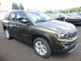 ECO Green Pearl Jeep Compass in 2016