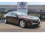 2010 Acura TL 3.5 Technology