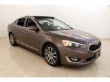 2014 Metallic Bronze Kia Cadenza Premium #106724863