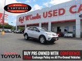 2014 Classic Silver Metallic Toyota RAV4 LE #106885276