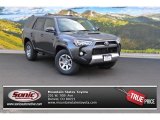 2015 Magnetic Gray Metallic Toyota 4Runner Trail Premium 4x4 #106885176