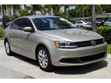 Moonrock Silver Metallic Volkswagen Jetta in 2013