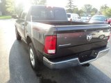 2016 Ram 1500 Outdoorsman Crew Cab 4x4 Marks and Logos