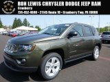 2016 ECO Green Pearl Jeep Compass Sport 4x4 #106977379