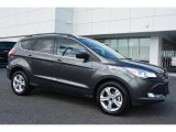 2016 Ford Escape Magnetic Metallic