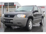 Black Clearcoat Ford Escape in 2002