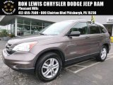 2010 Urban Titanium Metallic Honda CR-V EX AWD #107077615