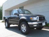 Black Sand Pearl Toyota Tacoma in 2002