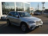 2013 Titanium Silver Metallic BMW X5 xDrive 50i #107201879