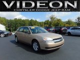 2005 Chevrolet Malibu Maxx LS Wagon