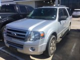 2010 Ingot Silver Metallic Ford Expedition XLT #107268863