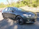 2016 Ford Fusion Guard Metallic