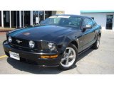 2006 Black Ford Mustang GT Premium Coupe #10718215