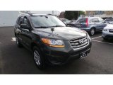 2010 Black Forest Green Metallic Hyundai Santa Fe GLS 4WD #107533810